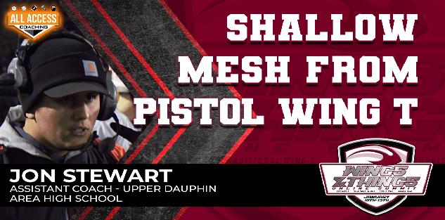 Shallow Mesh from Pistol Wing T